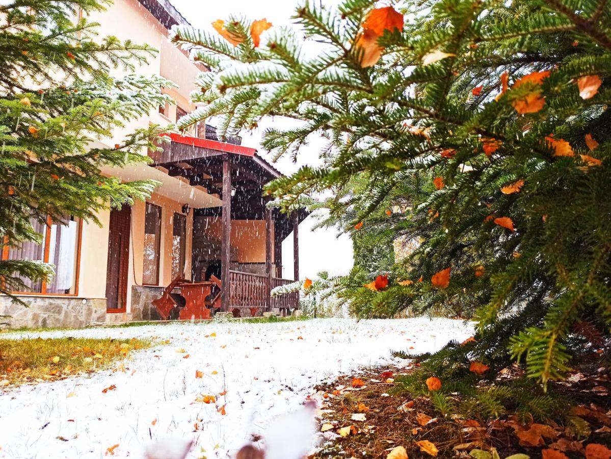 Rodopi Houses Chepelare Exterior photo