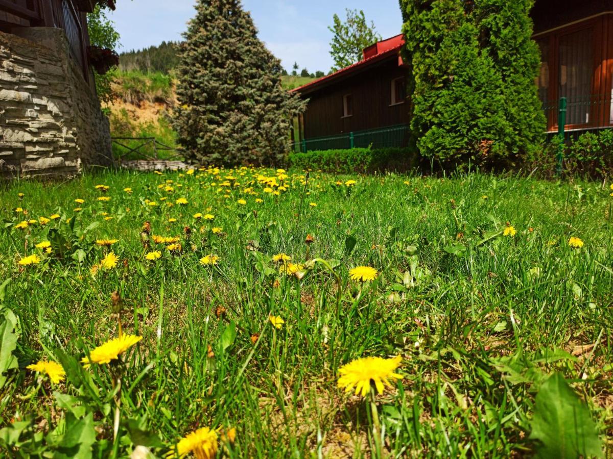 Rodopi Houses Chepelare Exterior photo