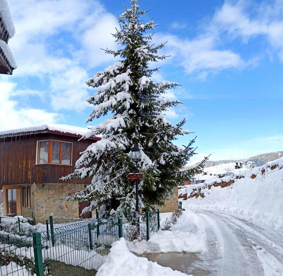 Rodopi Houses Chepelare Exterior photo