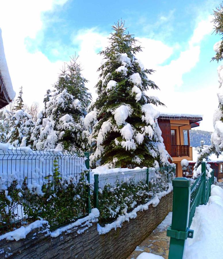 Rodopi Houses Chepelare Exterior photo